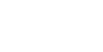 VORYNEX
